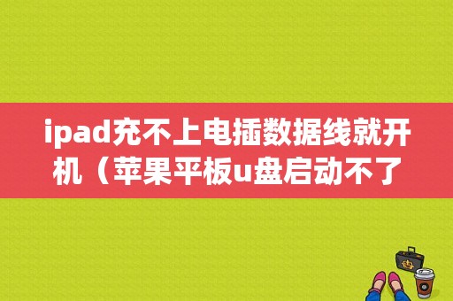 ipad充不上电插数据线就开机（苹果平板u盘启动不了）