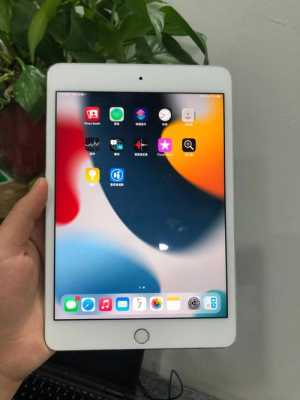 ipadmini4有原彩显示吗（苹果迷你4平板电脑）