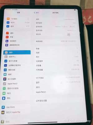 ipadpro一代9.7参数（苹果平板一代配置）