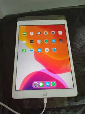 ipad7什么时候上市（7寸苹果平板电脑）