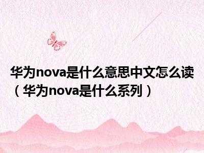 nova是什么队（nova是什么意思中文翻译成）