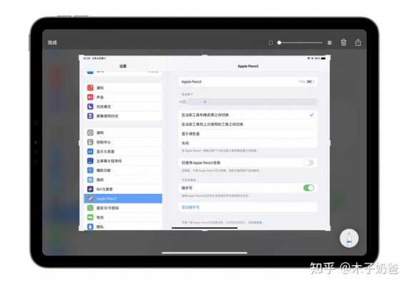 ipad显示safari无法下载怎么办（苹果平板电脑无法下载）