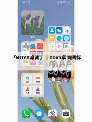 nova桌面用不了（nova桌面应用不见了）