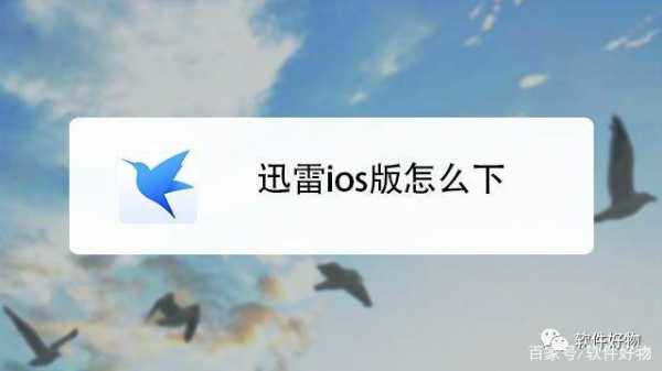 苹果版迅雷怎么下载iOS版（苹果平板怎么下载迅雷）