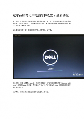 DELL2合一平板电脑如何进行U盘启动（苹果二合一平板电脑）