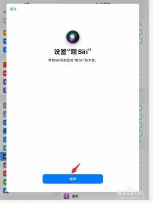 苹果平板语音助手怎么唤醒（有苹果平板助手吗）