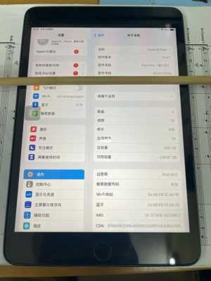 ipad成灰色的显示了怎么调回彩色（苹果平板电脑灰色）